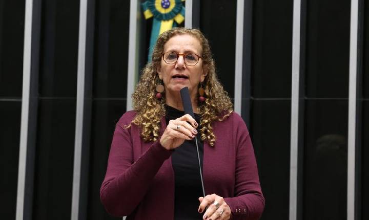 Câmara aprova criação do Sistema Nacional de Enfrentamento da Violência contra Meninas e Mulheres