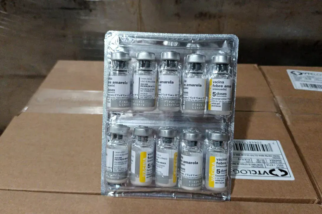 VACINAÇAO CONTRA FEBRE AMARELA É IMPORTANTE