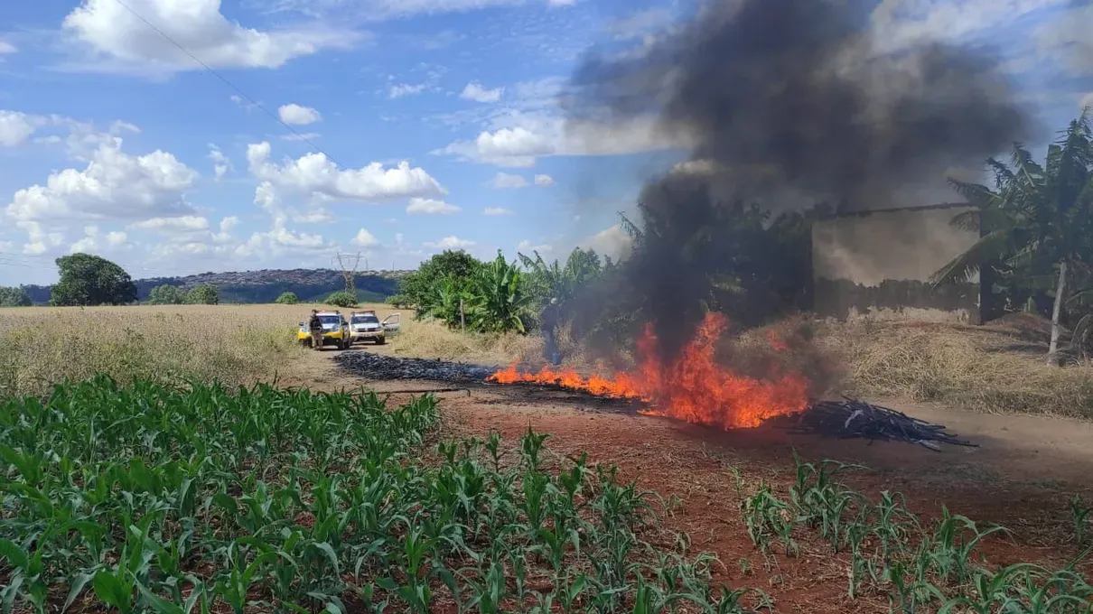Três pessoas são presas queimando tubos em área rural na região de Apucarana